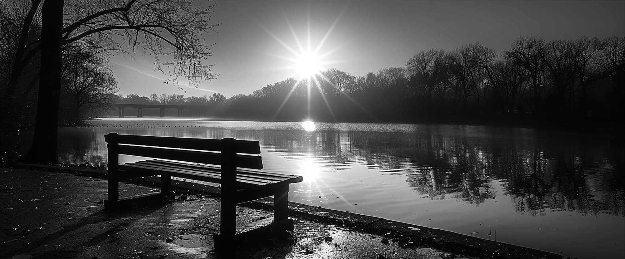 The world seems frozen, but it is only an illusion.